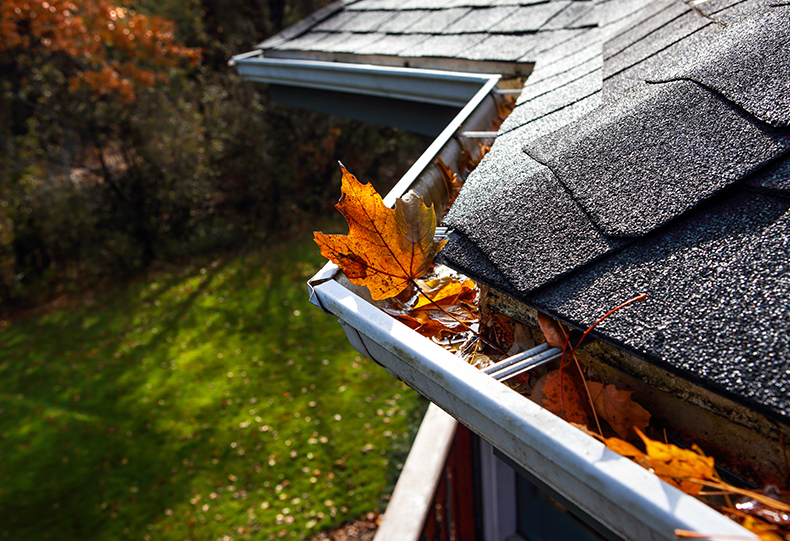 Roof_Maintenance