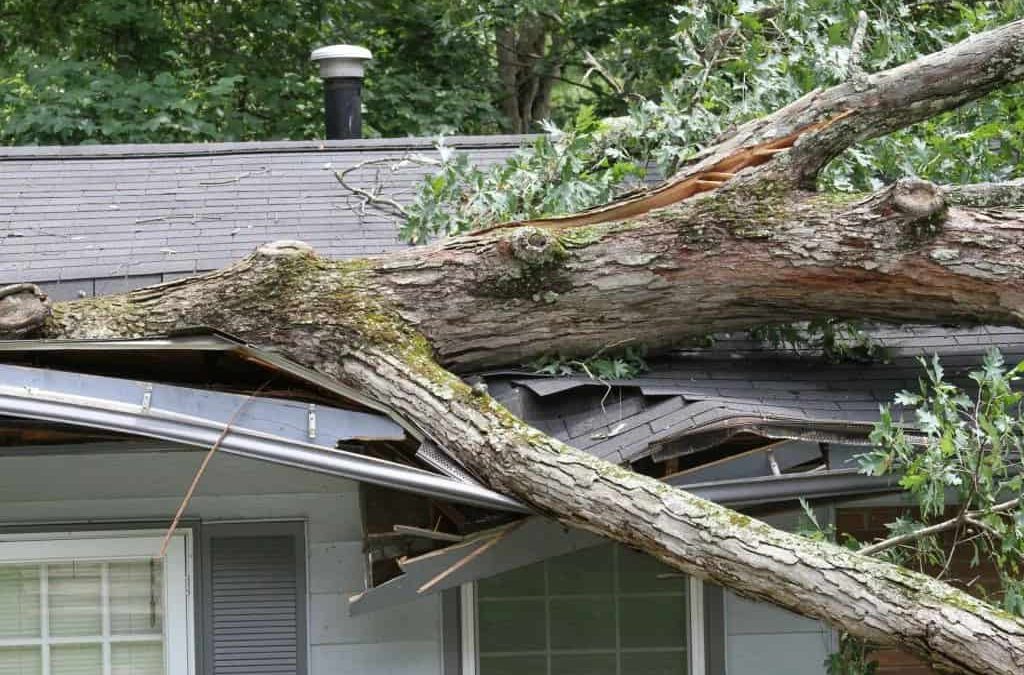 Roof Storm Damage Assessment: Simple Steps to Inspect & Prevent Damage